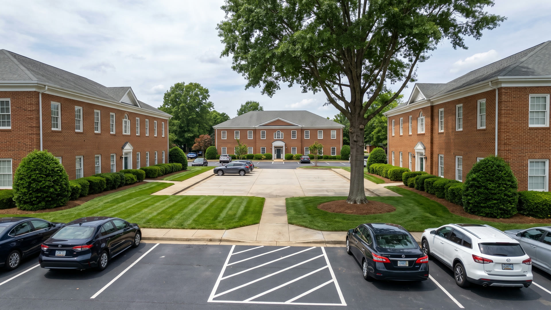 Property after ManageMowed service