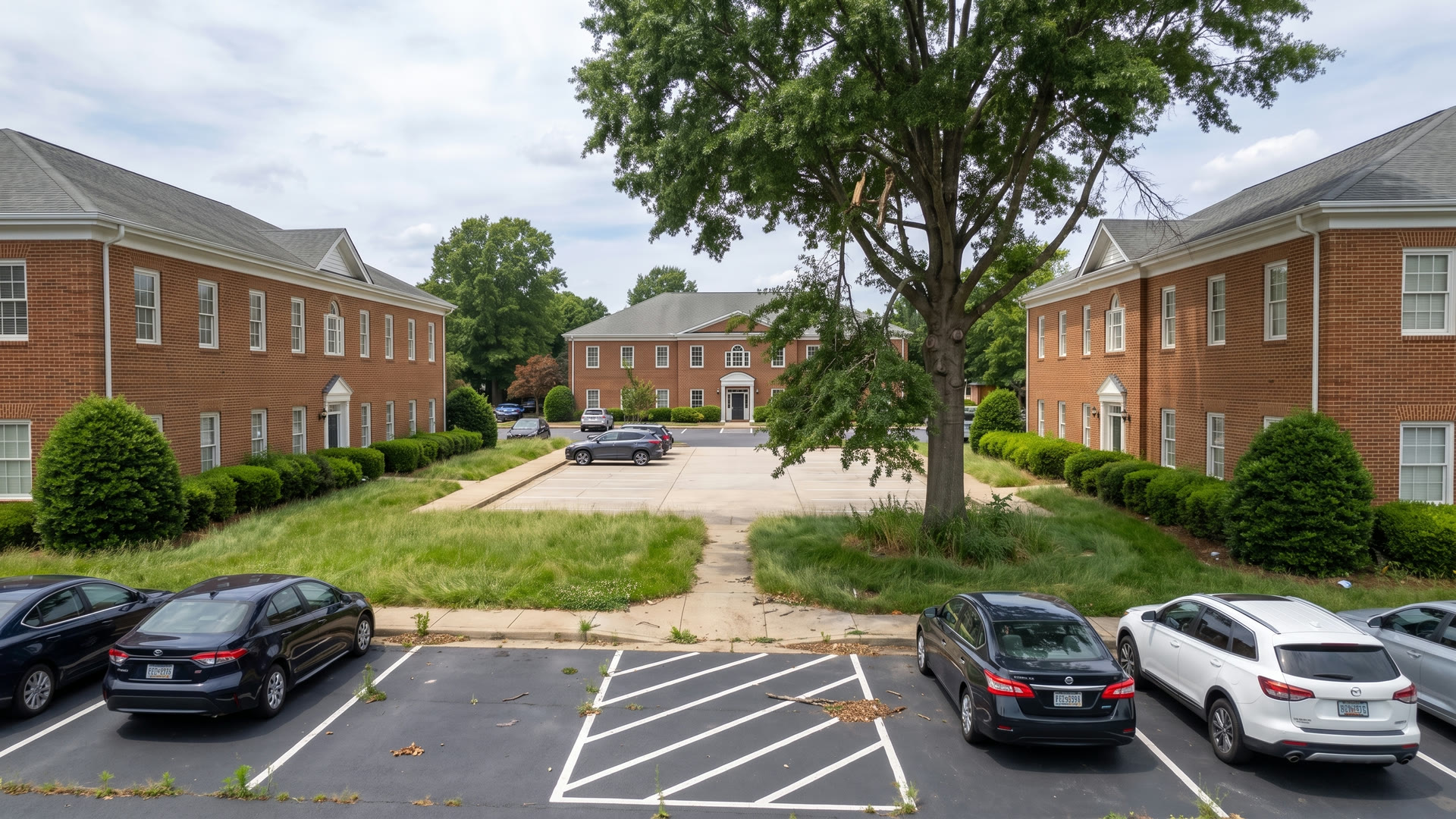Property before ManageMowed service